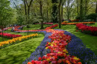 Keukenhof