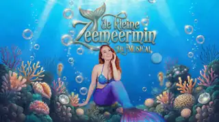 Die kleine Meerjungfrau das Musical