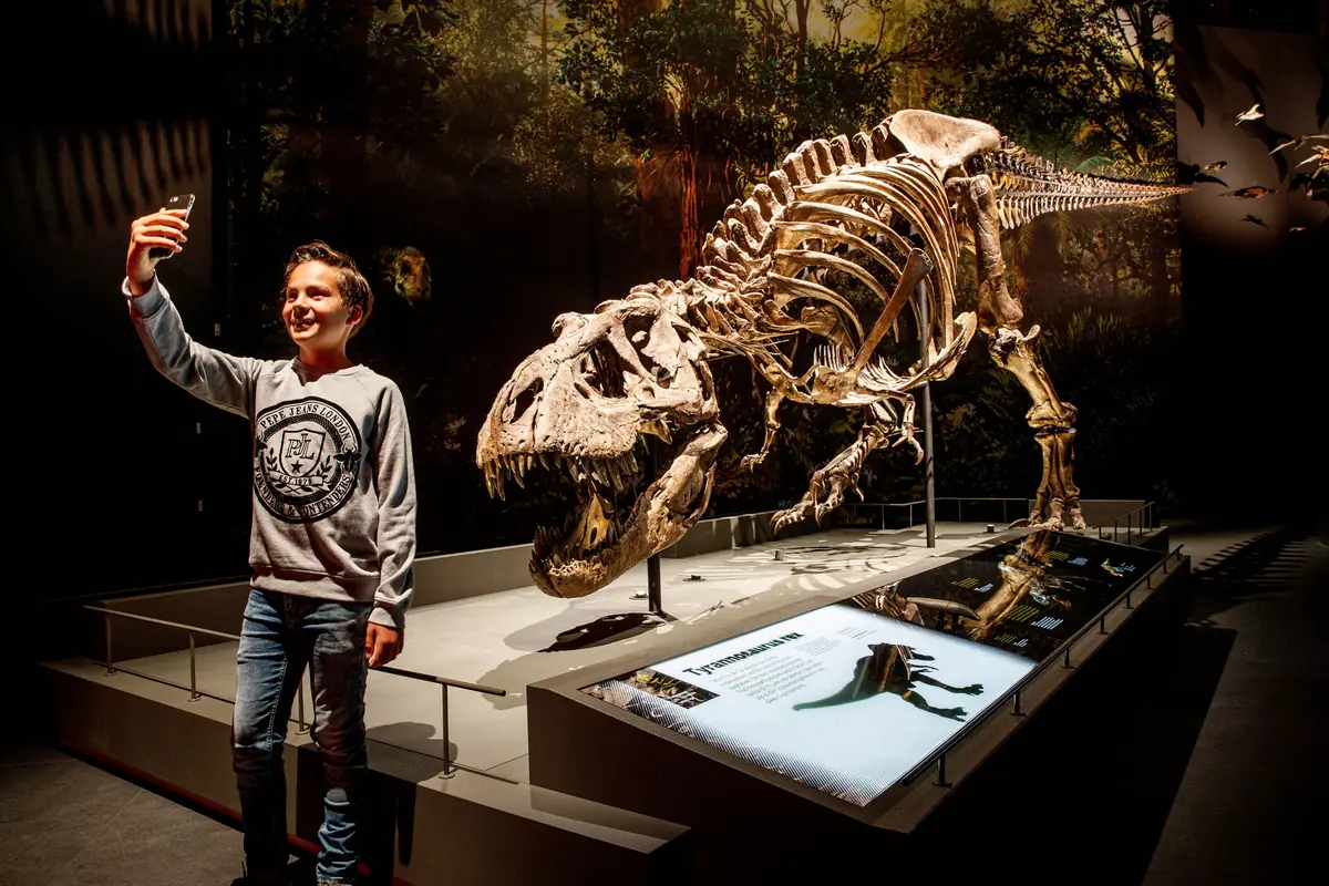 Sommerferien im Naturalis — Naturalis, Leiden