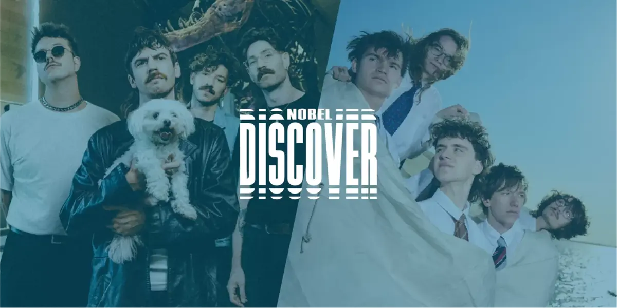 Discover: Ronker + Grote Geelstaart — Nobel, Leiden