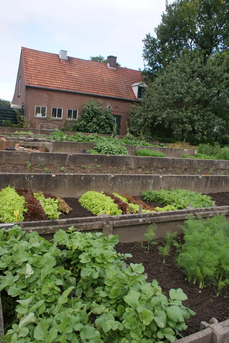 Open Monumentendag: De Warmoes - Historische Tuinderij — Warmoes - Historische Tuinderij, Nijmegen