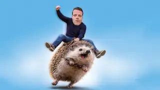 Martijn Koning