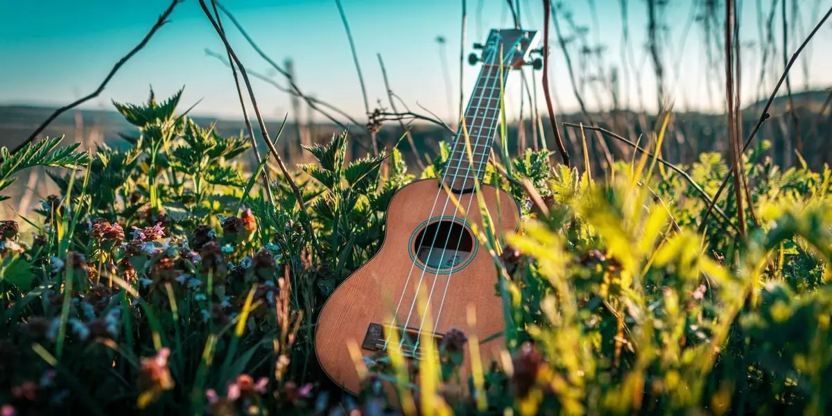 Workshop: Ukulele by the Waal for Beginners — De Lindenberg, Nijmegen