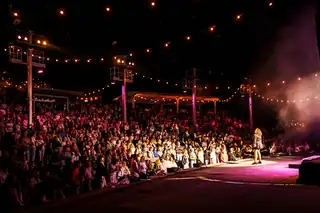 Live at Amsterdamse Bos 2026