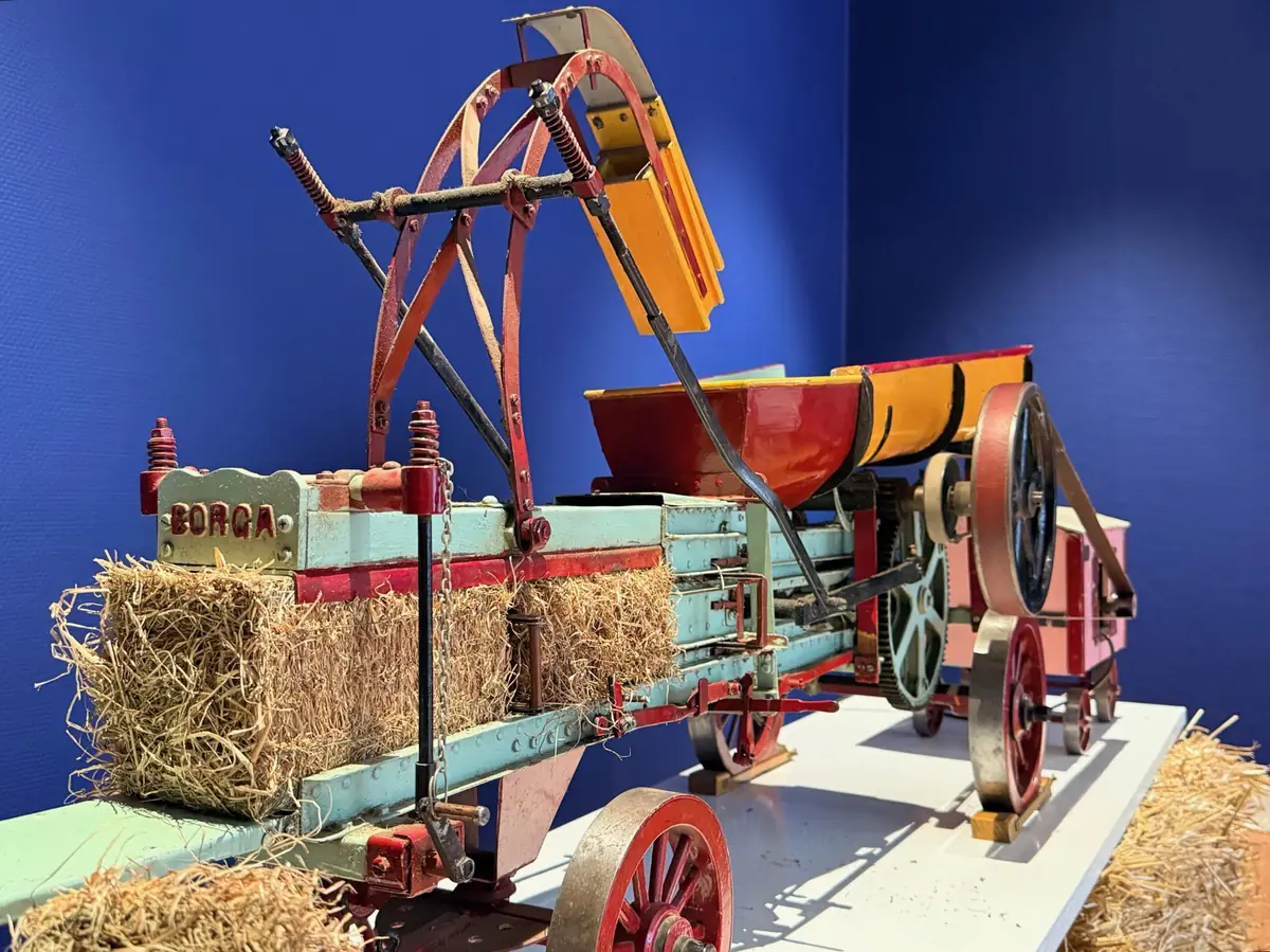 Made in Appingedam — Museum Stad Appingedam, Appingedam