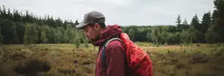 Tim Knol - Wanderings