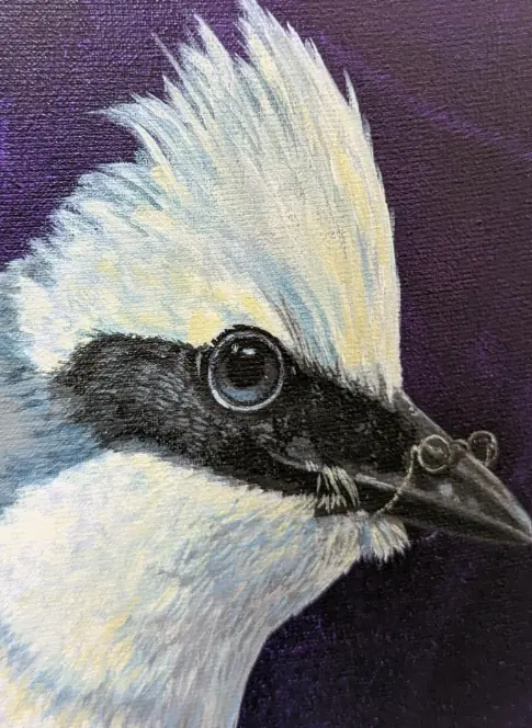 Expositie Kunst en vliegwerk — Kerk Rottum, Rottum