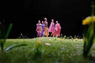 Noorderzon: Patricia Apergi - Hystory