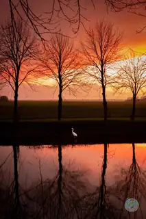 Kunstkring Westerwolde Exhibition at the Renovated Vestingmuseum Oudeschans