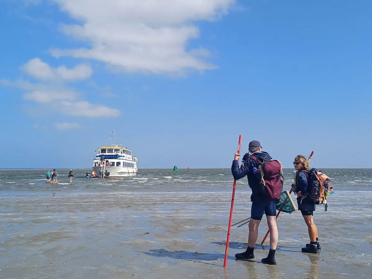 Seal Wadden Walk — Stichting Wadloopcentrum Pieterburen, Lauwersoog