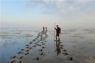 Wattwanderung nach Rottumeroog