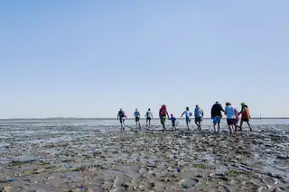Weststrand Schiermonnikoog