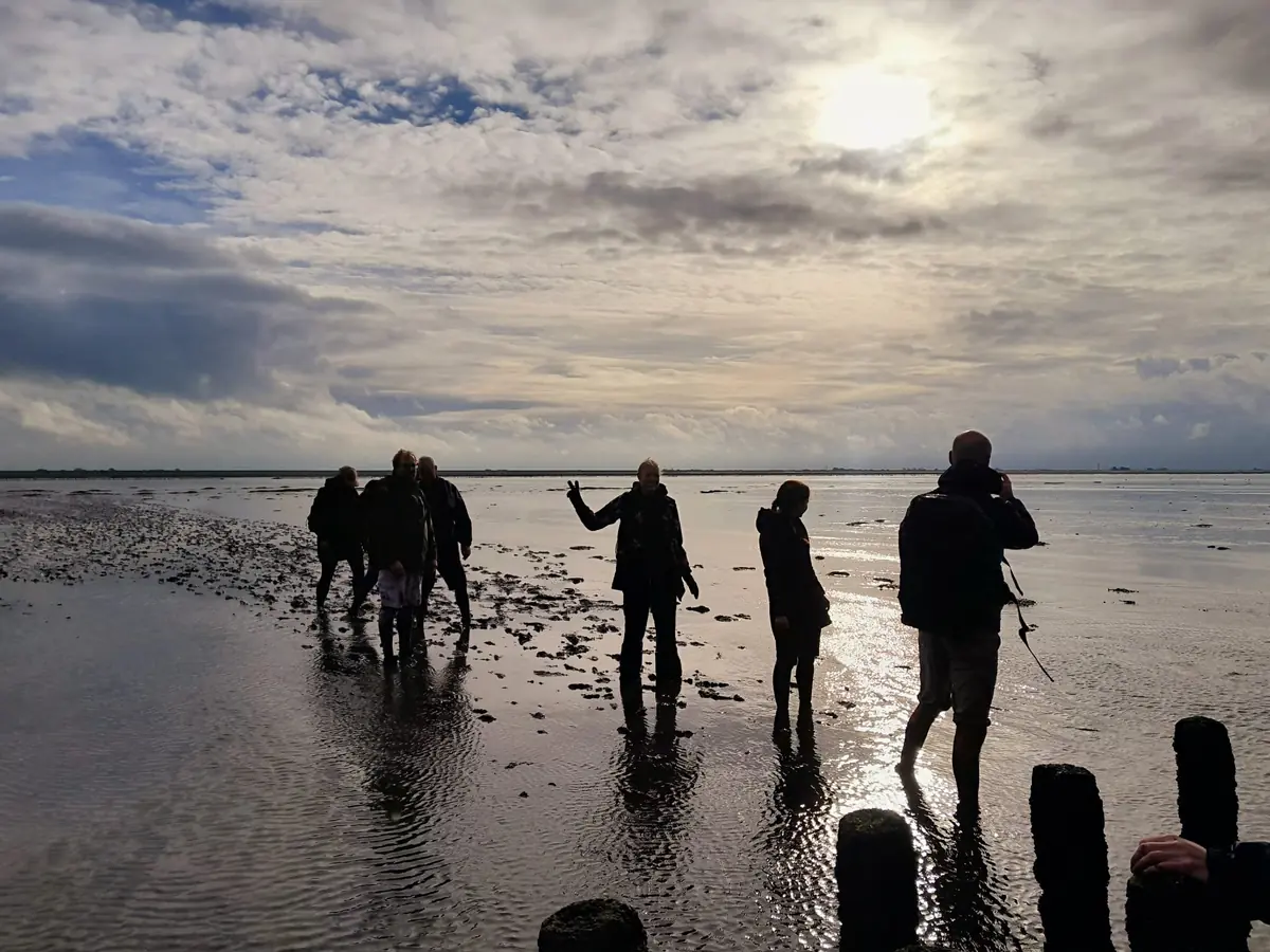 Mudflat walking to Ameland — Stichting Wadloopcentrum Pieterburen, Lauwersoog