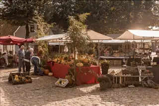 Autumn Fair Vesting Bourtange