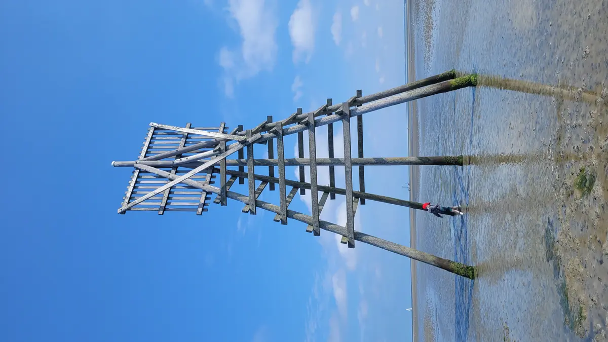 Mudflat Walking to Engelsmanplaat — Stichting Wadloopcentrum Pieterburen, Lauwersoog