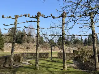 Öffentliche Führung: Bäume in Sorten