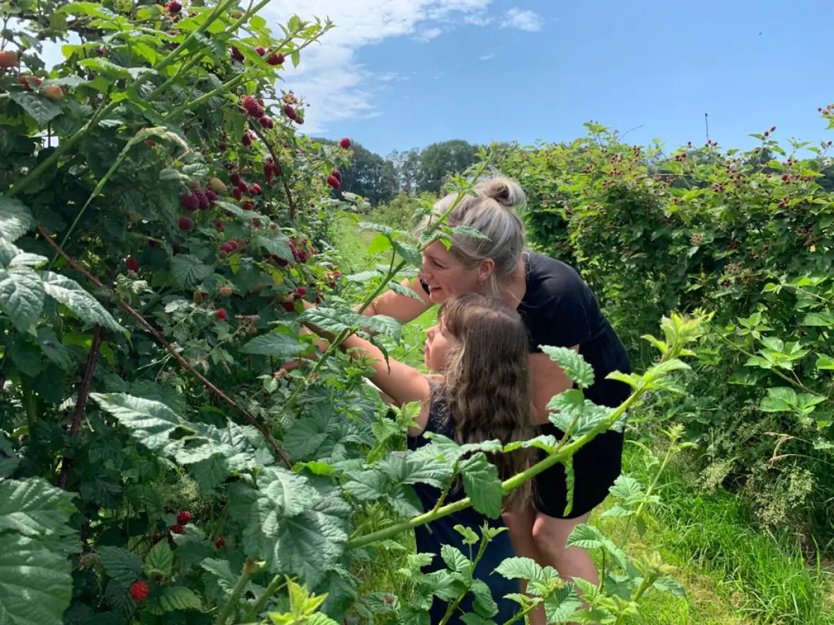 Zelf fruit plukken — 't Düvelshöfke Landwinkel en fruit- en workshopboerderij, Oldenzaal