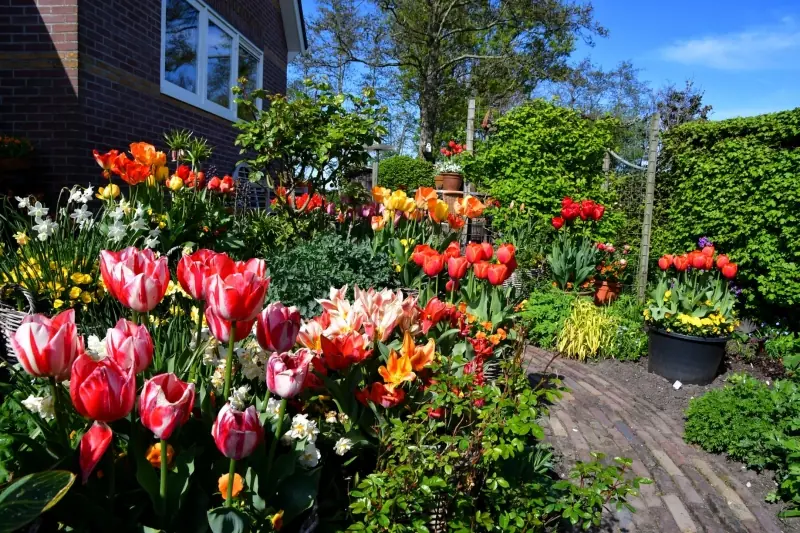 Willkommen in den schönsten Gärten von Nordholland Nord — Wieringerwaard – De Tuinstek, Wieringerwaard