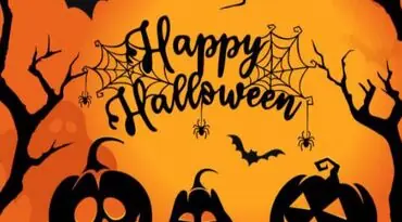 Family Halloween-tocht — IVN Stein & Scouting Stein - Stein, Stein