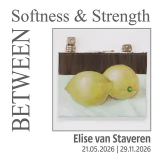 Ausstellung Between Softness & Strength - Silbermuseum
