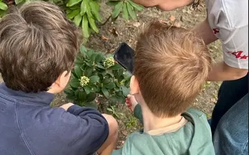 Bioblitzen mit deinen Eltern — Hoevelakense bos, Hoevelaken