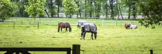 Informationspunkt Digitale Verwaltung