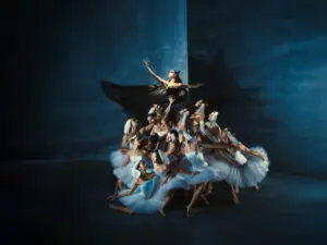 Swan Lake (6+): Introdans — Stadsschouwburg Groningen, Groningen