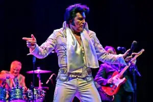The Elvis Concert