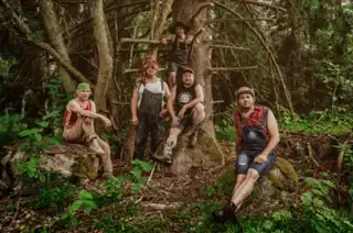 Steve ‘n’ Seagulls