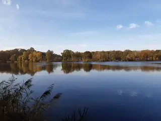 Karpendonkse Plas parkrun