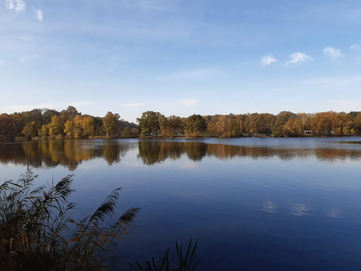 Karpendonkse Plas parkrun — Karpendonkse plas, Eindhoven