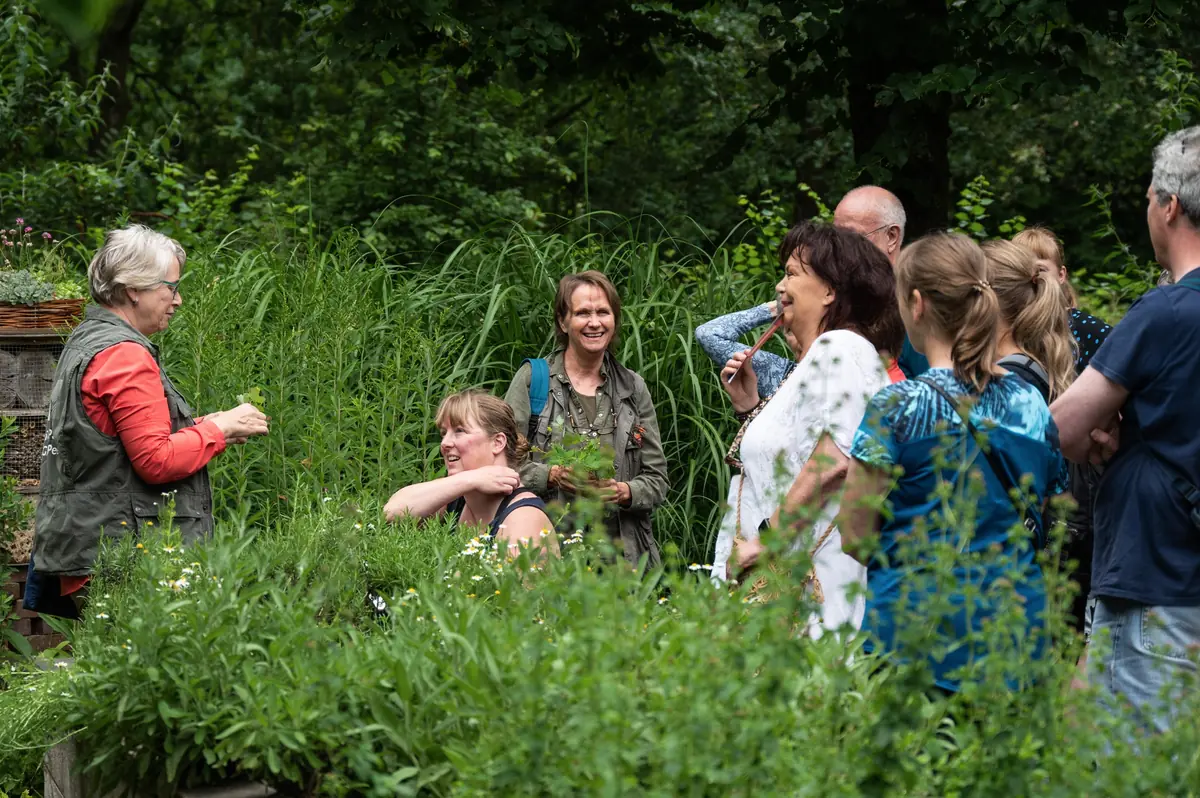 Krauterwanderung im Nationaal Park De Groote Peel — Buitencentrum De Pelen, Ospel
