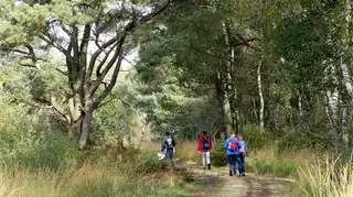 Turfstekerstocht in Nationaal Park De Groote Peel