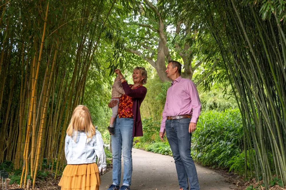 Botanical Gardens Season Opening — Botanische Tuinen Universiteit Utrecht, Utrecht