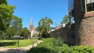 Summer City Walk