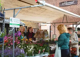 Arnhem Grün Markt Ernte-Ausgabe: Gemütlicher Herbsttag auf De Korenmaat