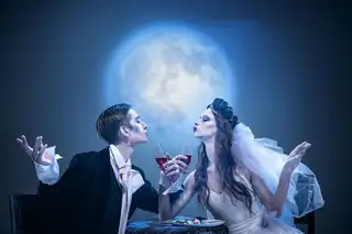 Feest | Holland Opera