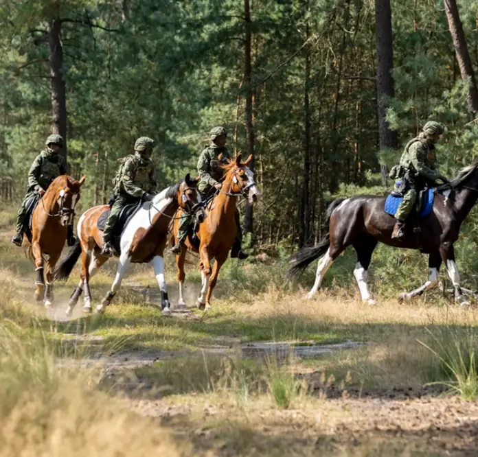 Militärischer Leistungsritt zu Pferd — Het Nationale Park De Hoge Veluwe, Otterlo