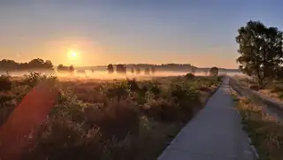 Vroege Wildwandeling
