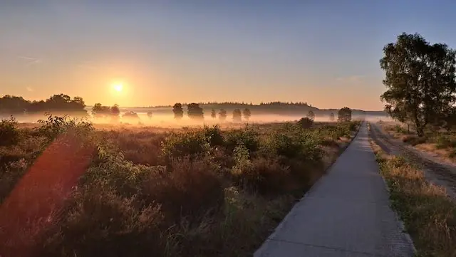 Early Wildlife Walk β Natuurcentrum De Ginkel, Ede