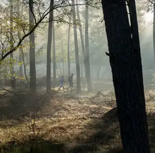 Hoge Veluwe Wandertag
