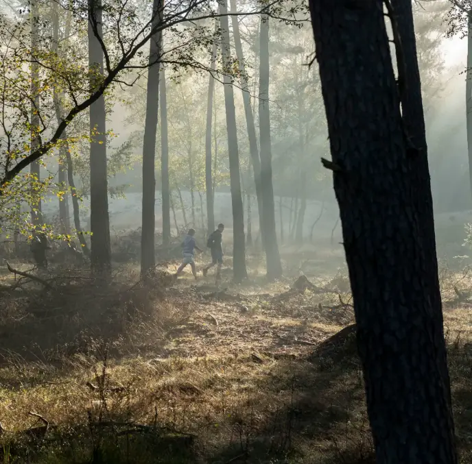Hoge Veluwe Wandertag — Het Nationale Park De Hoge Veluwe, Otterlo