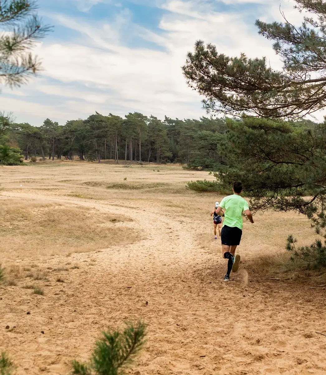 Hoge Veluwe Loop — Het Nationale Park De Hoge Veluwe, Otterlo