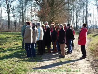 Herfstwandeling