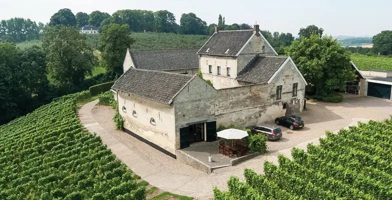 Guided Tour and Wine Tasting at Wijngaard De Apostelhoeve — Wijngaard Apostelhoeve, Maastricht