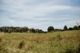 Explore Sint-Pietersberg with a Nature Guide