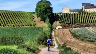 Sint PietersBear Trail