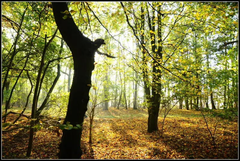 Excursion: The Awakening of Nature on Sint-Pietersberg — Fort Sint Pieter, Maastricht