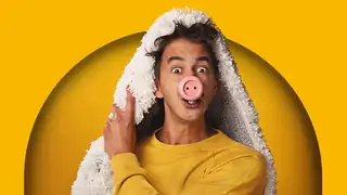 The Little Lamb That Is a Pig