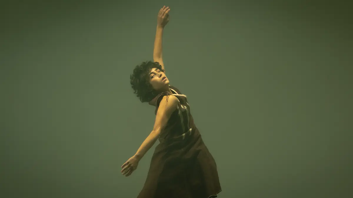 Zero Dance Theatre en het AAO — Parktheater Eindhoven, Eindhoven